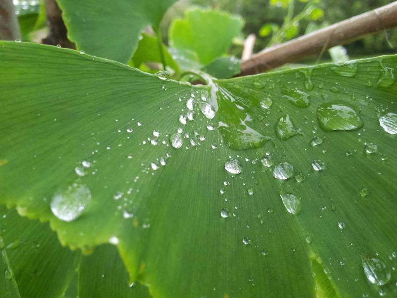 水世界漂流<br>qyf5seag.cn 深海钻井平台